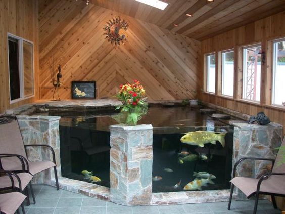 Bể cá Koi dẹp trong nhà