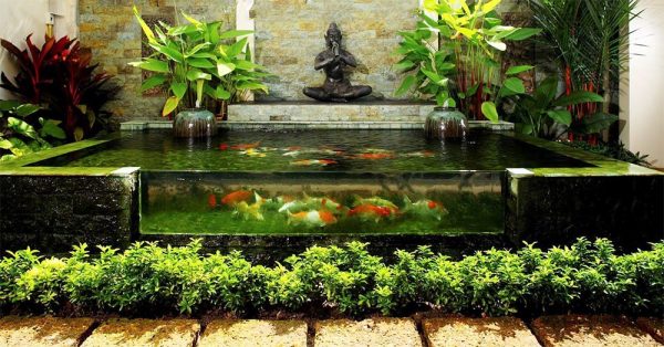 Bể cá Koi đẹp, chuẩn phong thuỷ có thể mang đến tài lộc cho gia đình bạn