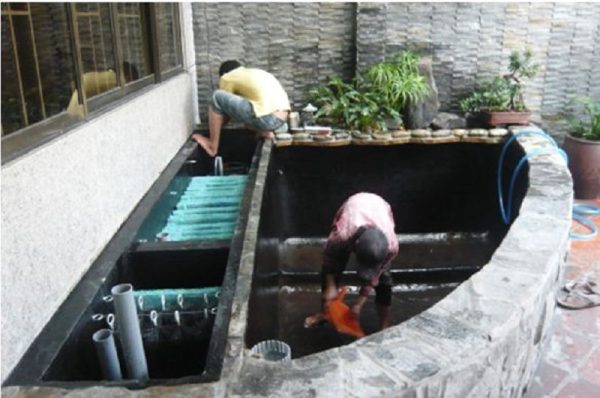 Cải tạo hệ thống lọc nước hồ cá