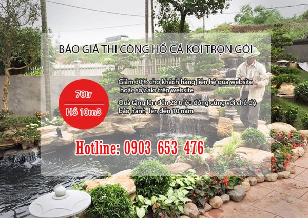 Báo giá thi công hồ cá koi trọng gói