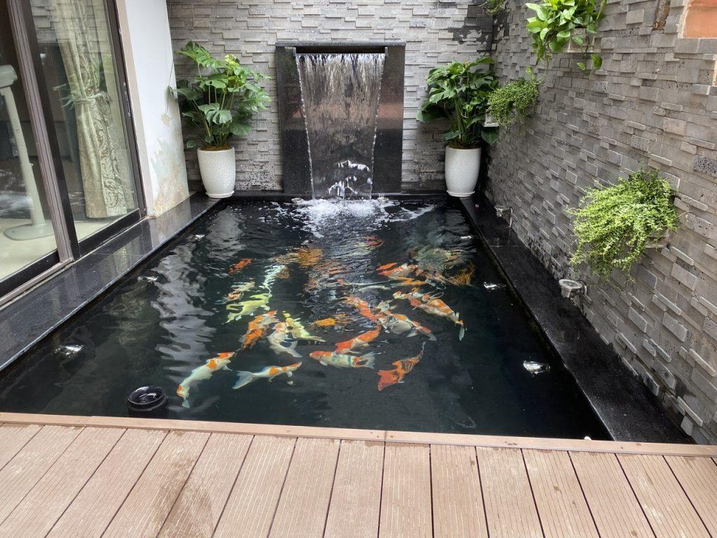 Hồ cá koi nhà phó hiện đại